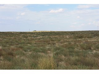 Property photo 123 - LAND AUCTION, 3255+/- Acres offered in 13 Tracts